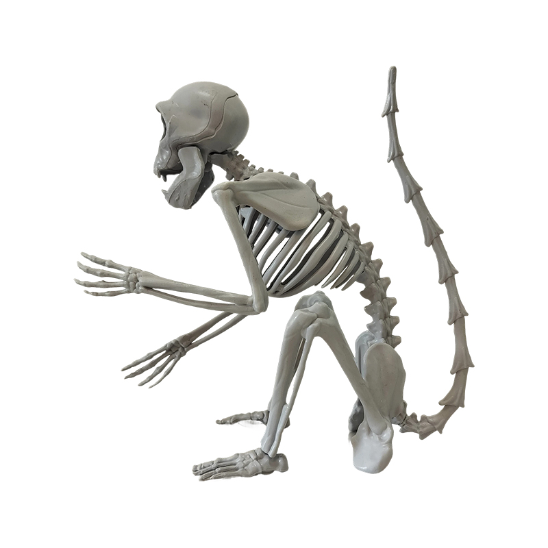 Halloween Blow Molding Products FZ-286
